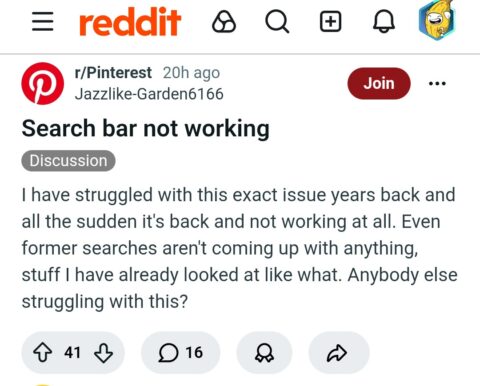 Pinterest ‘Couldn’t Find Any Pins for this Search’
