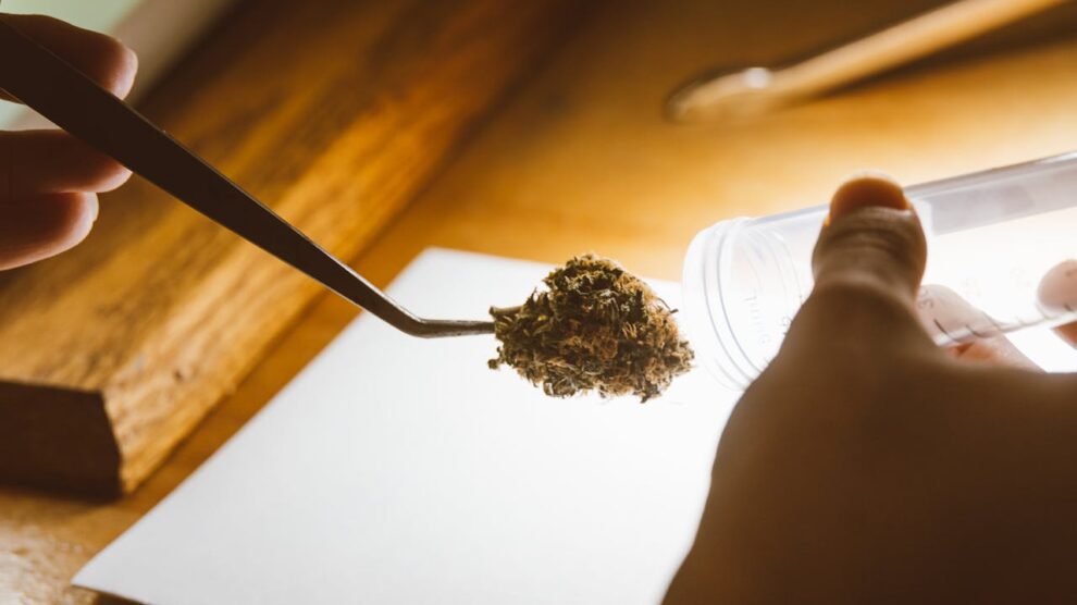 US eases access to marijuana for medical use