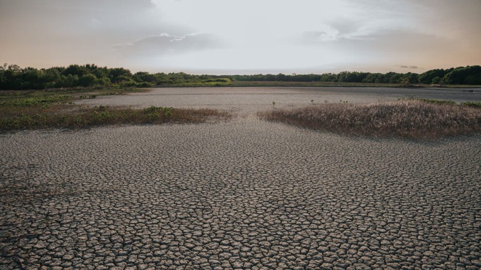 Warming El Nino set to return in mid-2026: UN