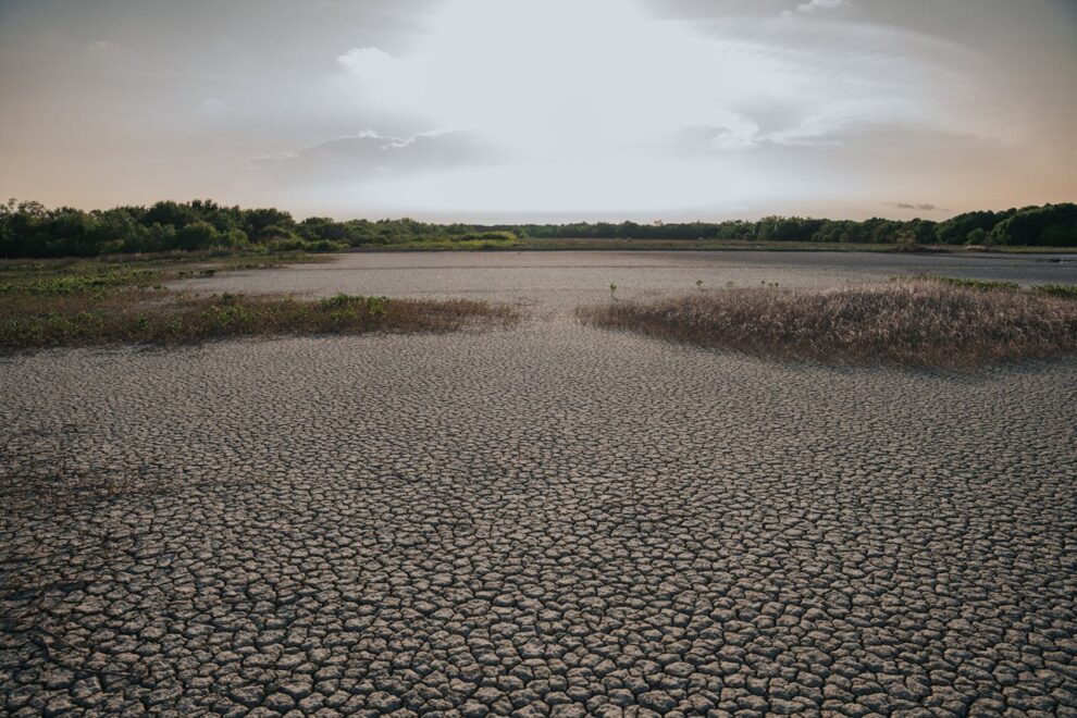 Warming El Nino set to return in mid-2026: UN