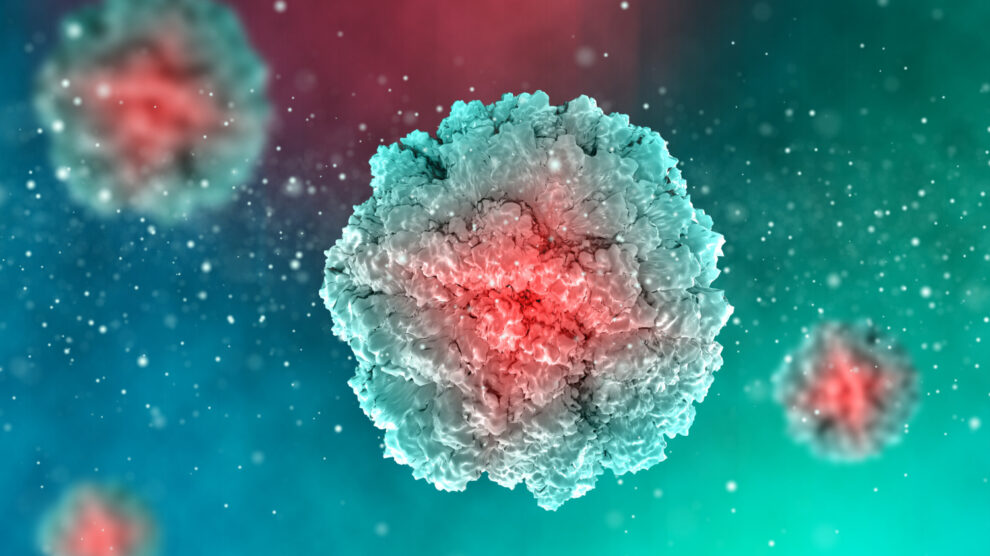 hantavirus