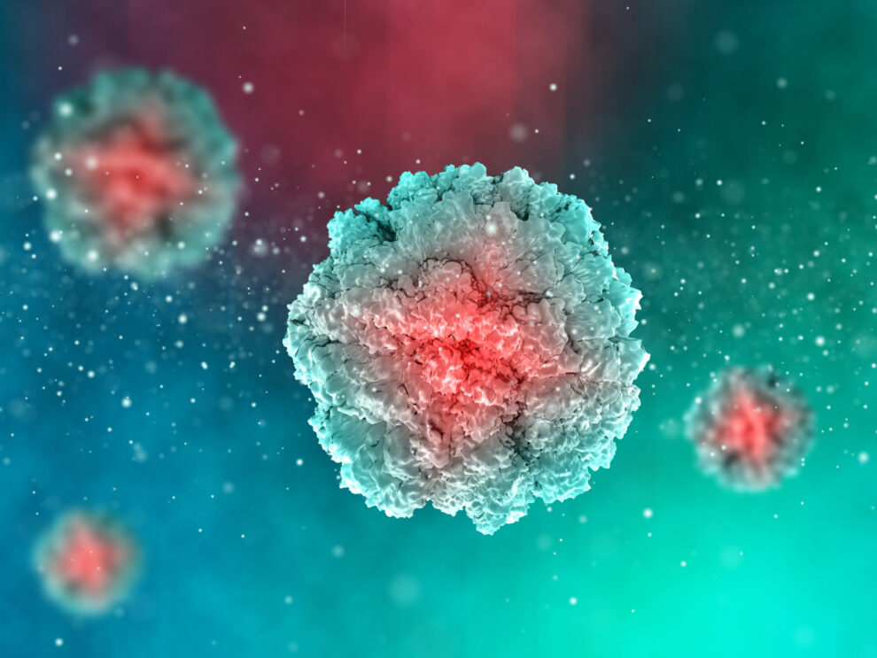 hantavirus
