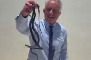 rfk jr snakes