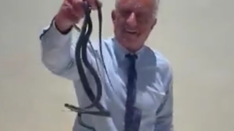 rfk jr snakes