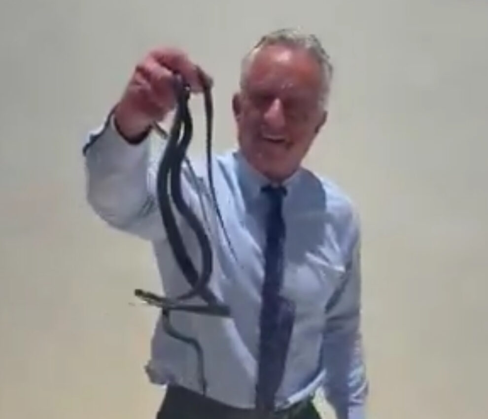 rfk jr snakes