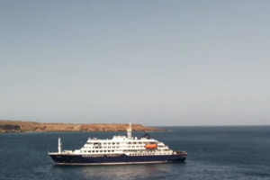 'Low risk' to public of hantavirus after cruise ship deaths: WHO Europe
