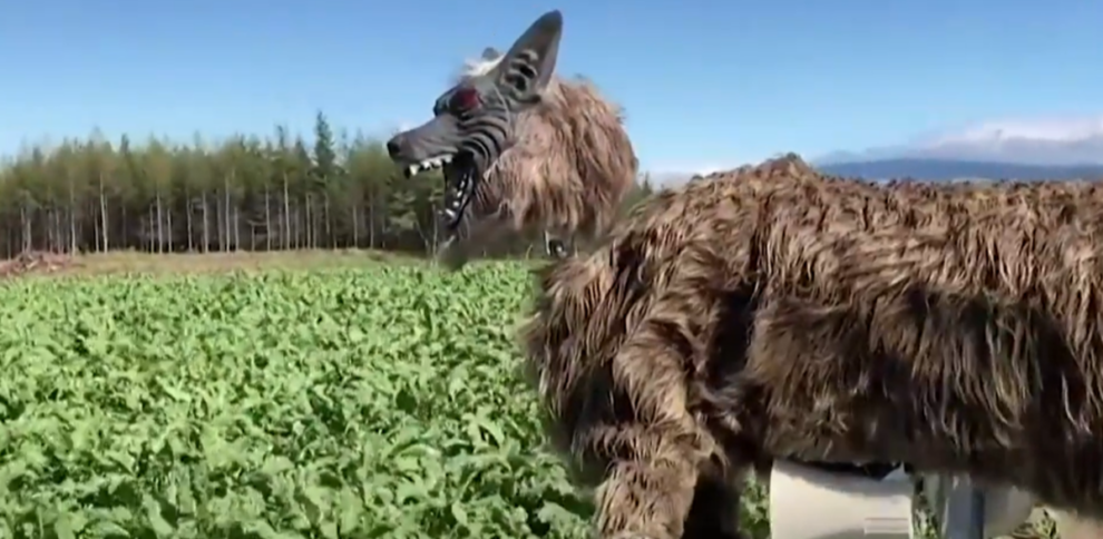 Japan 'robot wolves' in high demand to scare off bears