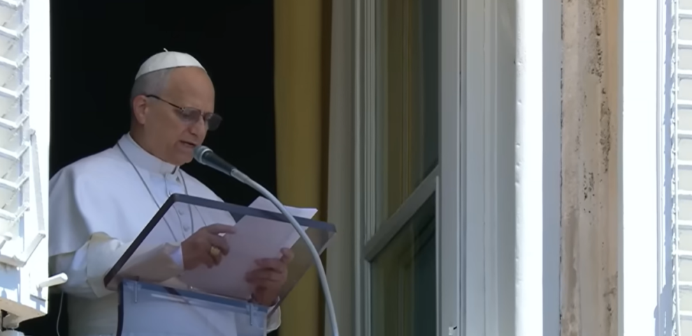 Pope calls for artificial intelligence to be 'disarmed'