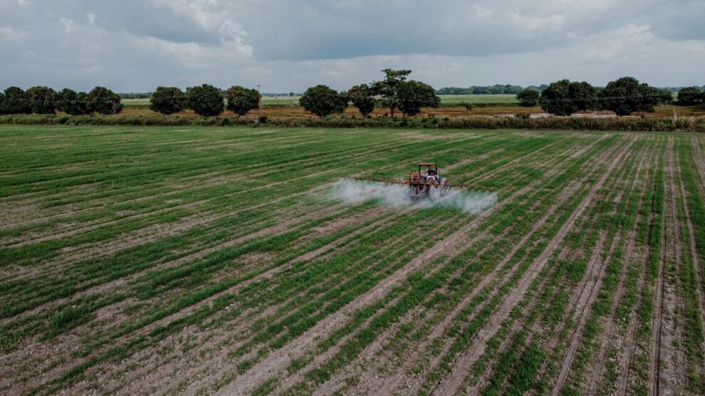 pesticide