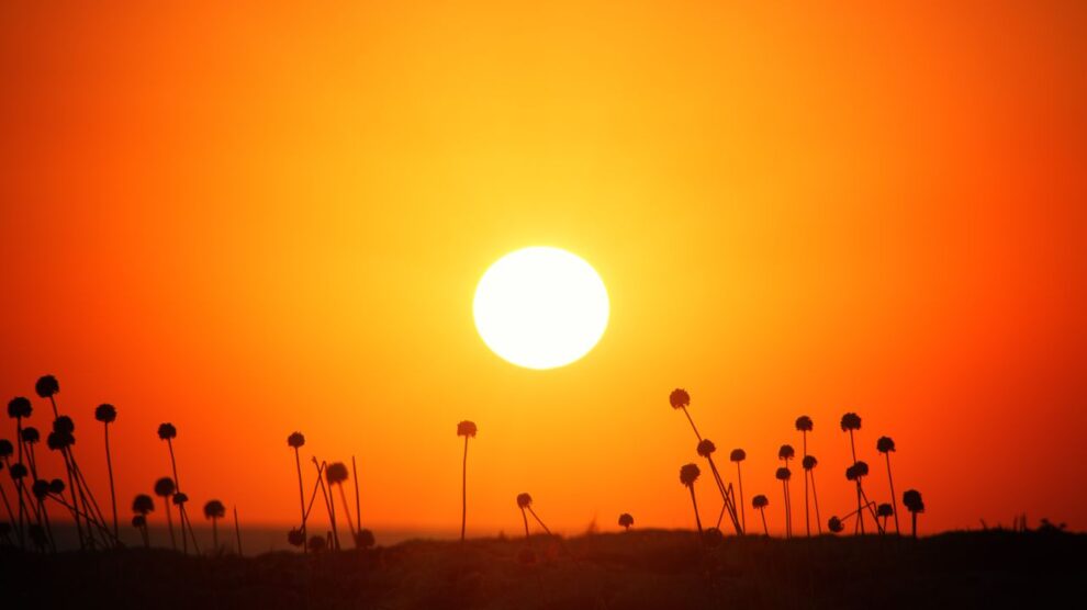 Switzerland records hottest ever June day at 38C: weather agency