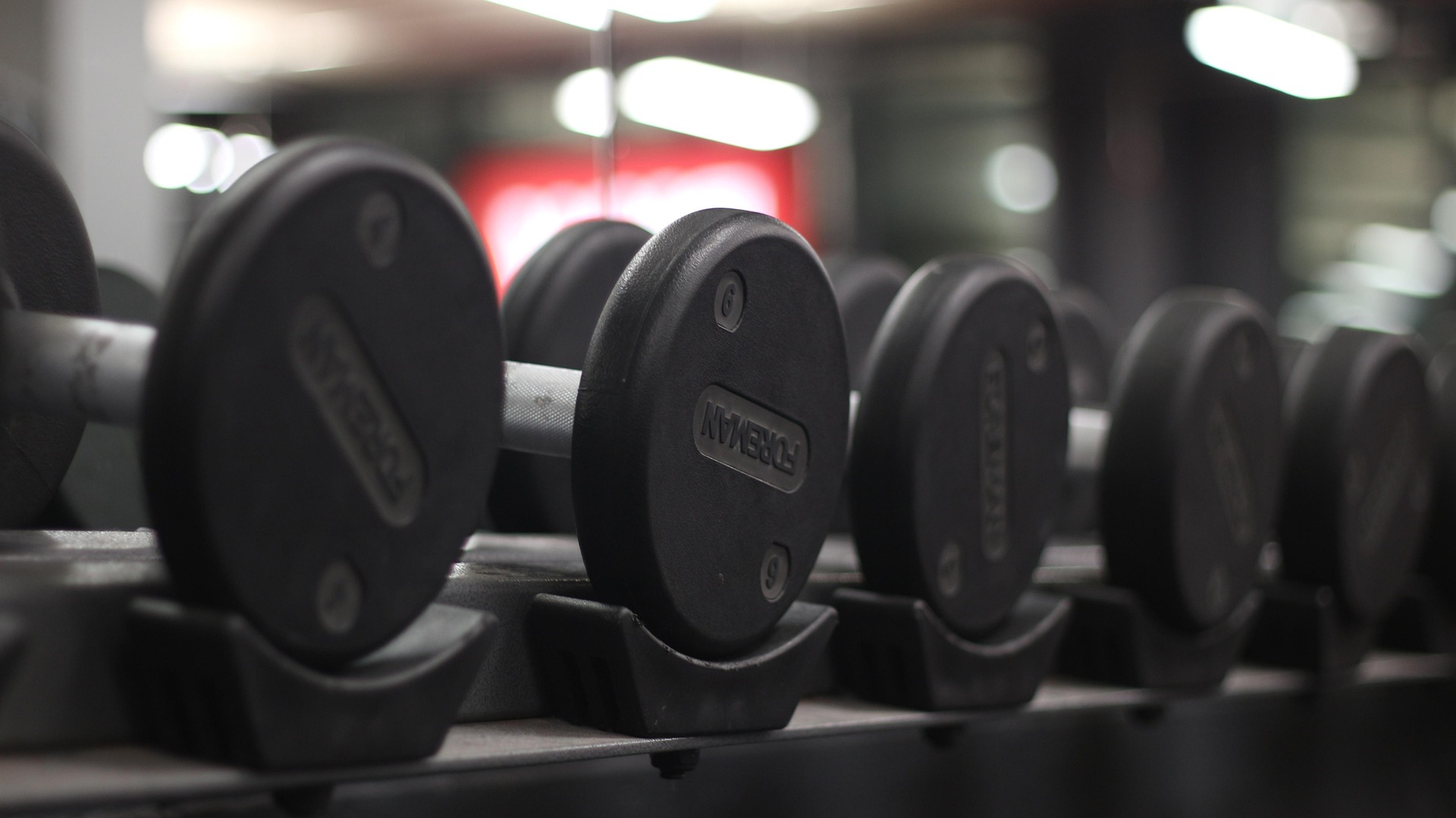 top 10 best gyms in the world 2026