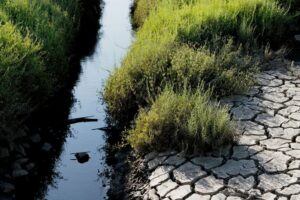 Italy waterways in 'critical state' from drought: authority