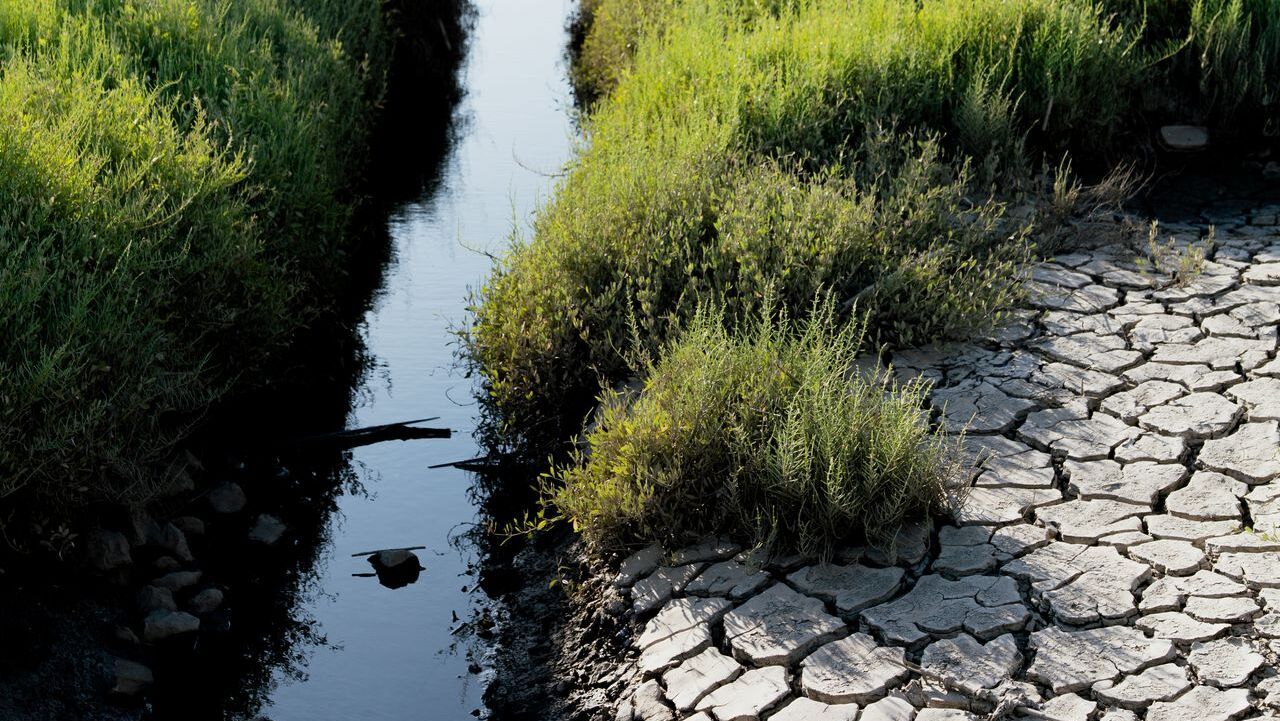 Italy waterways in 'critical state' from drought: authority
