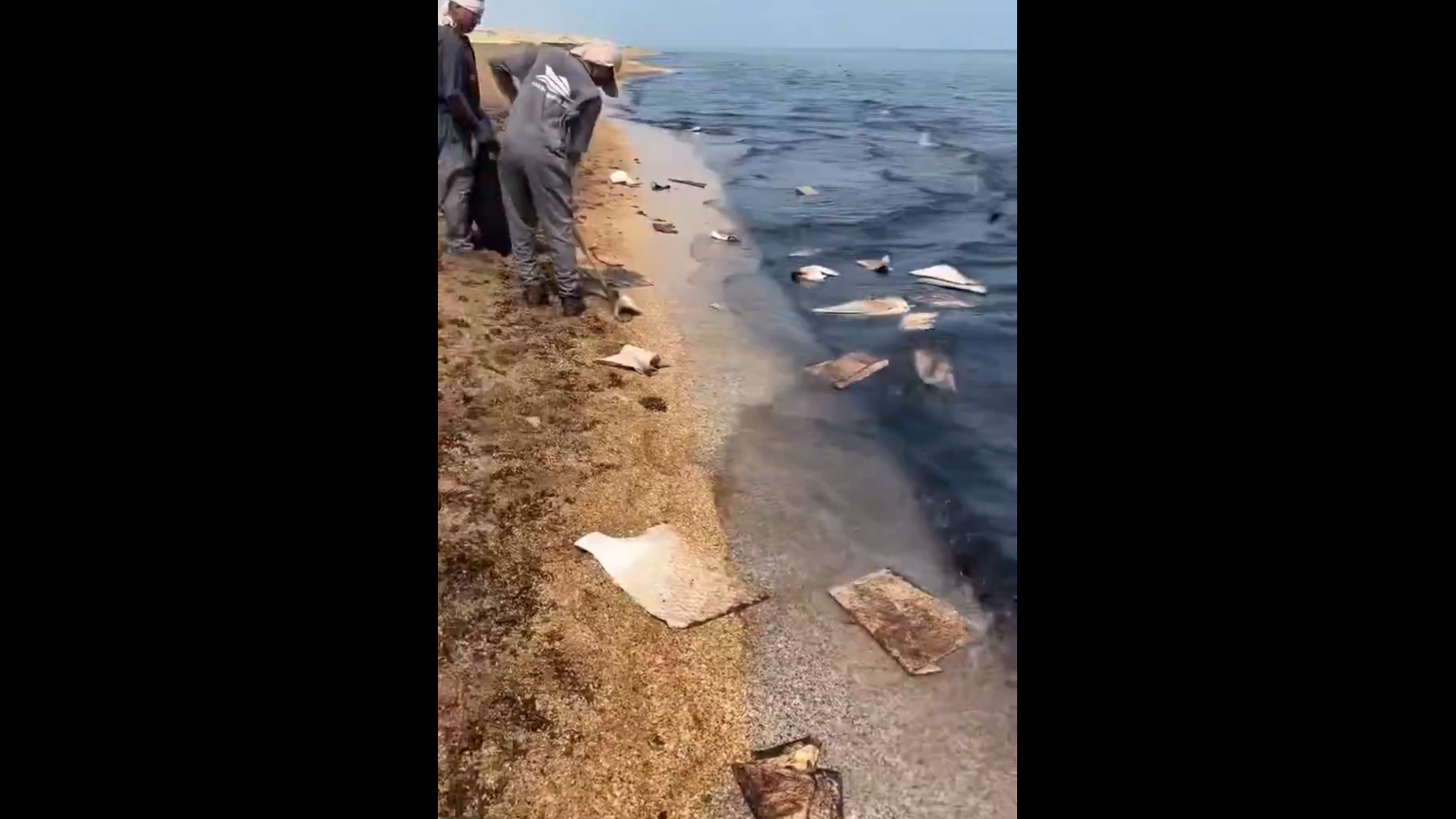 "Oil spill off Oman reaches coastline: state media