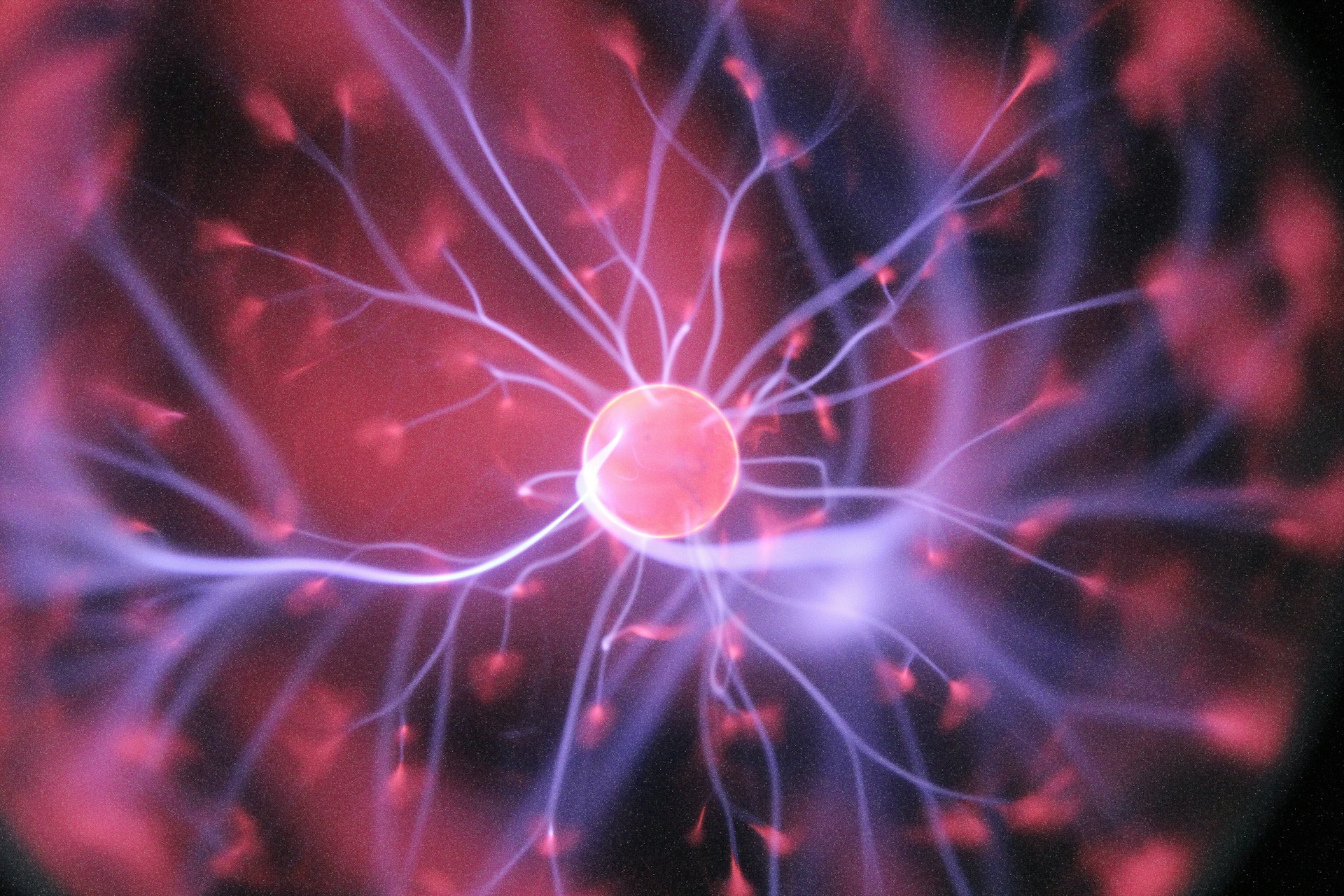 Oldest human brain cells grown in lab 'recorded passage of time'