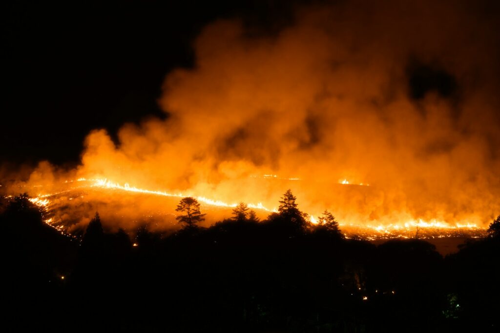 countries wildfire in 2026