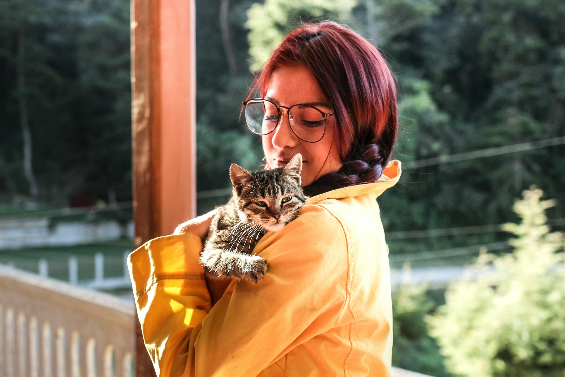AI says new technologies could allow humans to talk with animals