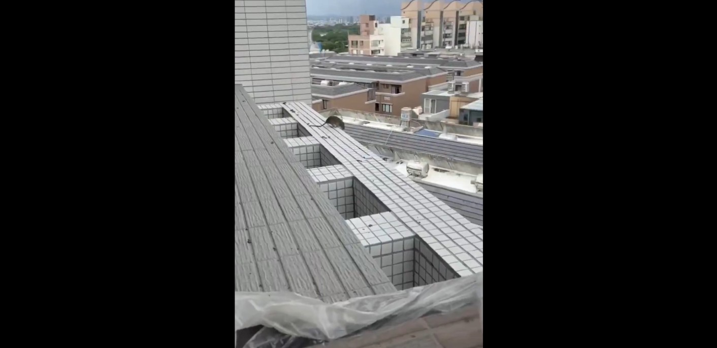 Viral video shows rat jumps off building: Did it commit suicide?