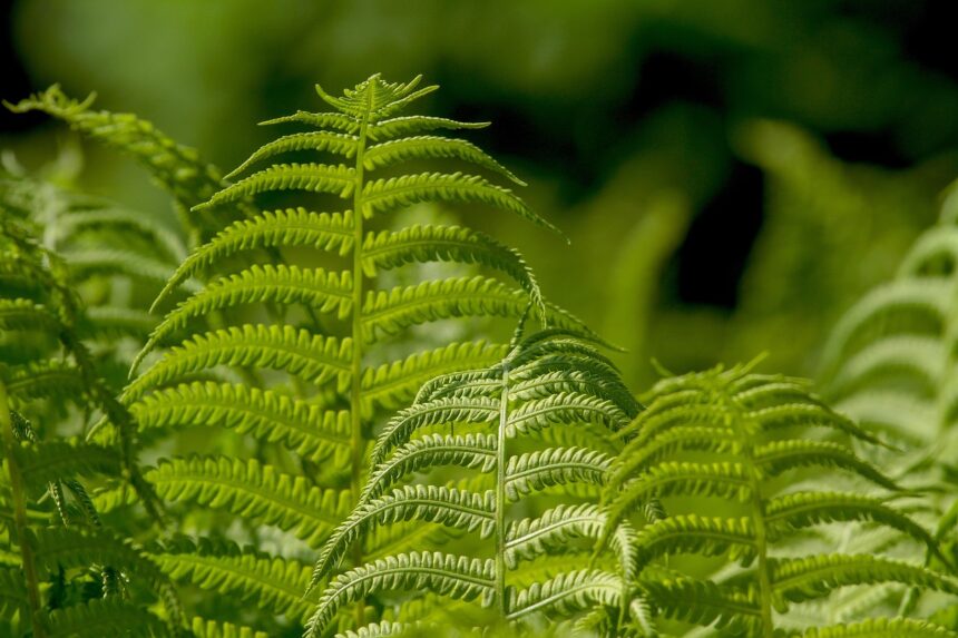 Startup Develop AI That Can ‘Listen’ to Plants and Understand Their Needs