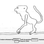 ufo files skinwalker