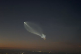 Space Jellyfish Florida spacex